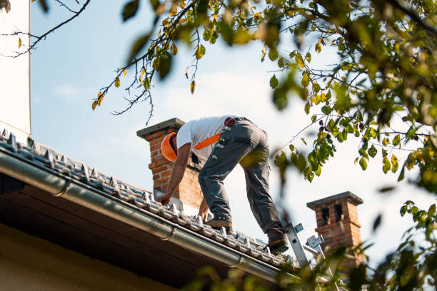 Best Metal Roofing Contractor  in Manhattan, MT
